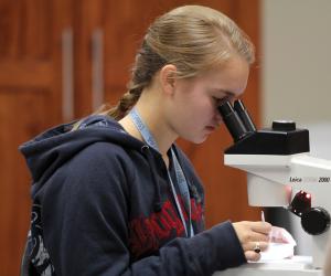 Photo by Ethan Magoc: Freshman forensic anthopology major Tess Allen uses a microscope to sort pieces of lithic, shell and limestone rock in Zurn Hall's Processing Laboratory on Tuesday, Oct. 5, 2010.